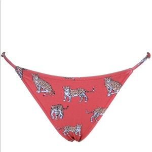 Serengeti Bikini Bottom